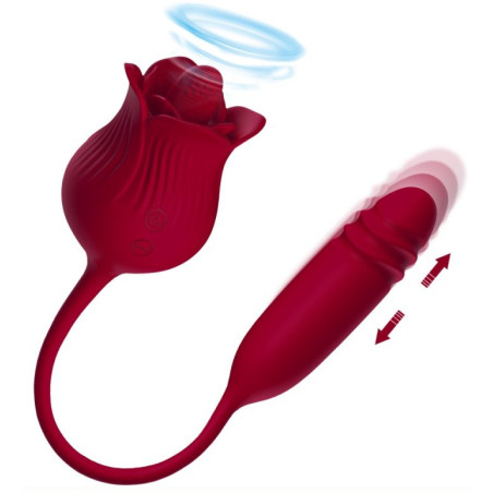 Stimulateur Anulingus et Vibro DWICH Rose