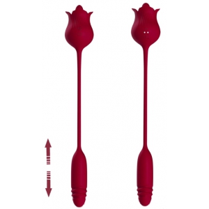 Stimulateur Anulingus et Vibro DWICH Rose