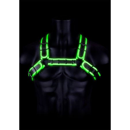 Harnais phosphorescent GLOW BUCKLE Noir