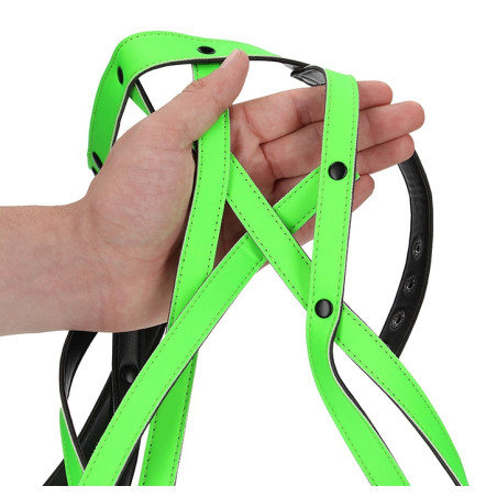 Harnais phosphorescent BRAS HARNESS GLOW