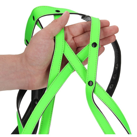 Harnais phosphorescent FULL HARNESS GLOW