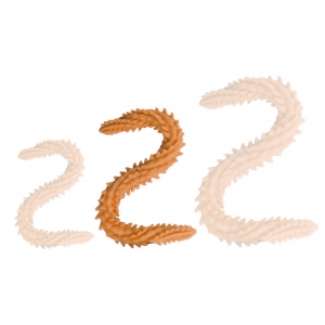 Double gode SCOLOP M 50 x 4cm Orange