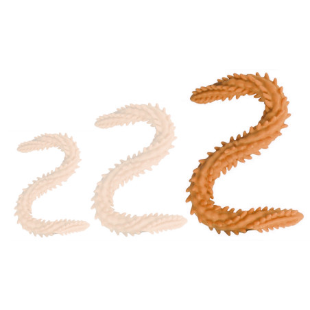 Double Gode SCOLOP L 60 x 5cm Orange