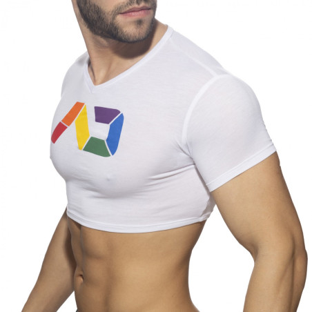 Crop Top RAINBOW Addicted