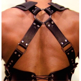 Harnais Gladiator Should Noir 2