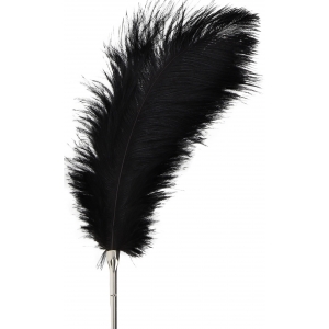 Plumeau TICKLER Taboom 35cm