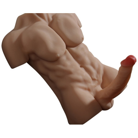 Masturbateur Buste et Pénis articulé TORSO MAN Sexe de 20cm
