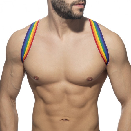 Harnais élastique SPIDER RAINBOW Addicted