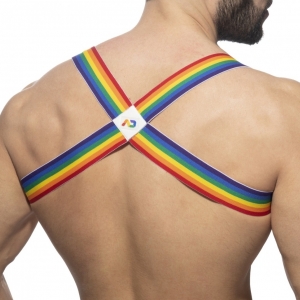 Harnais élastique SPIDER RAINBOW Addicted