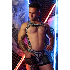 Harnais Body HYBRED Breedwell Gris