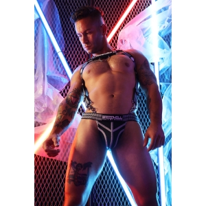 Harnais Body HYBRED Breedwell Gris