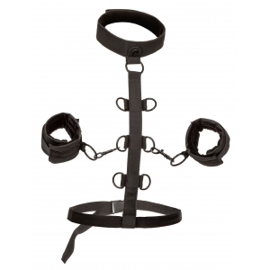 Attaches Sm COLLAR BODY RESTRAINT Boundless
