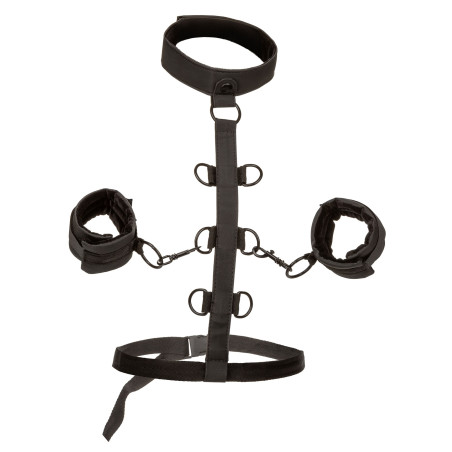 Attaches Sm COLLAR BODY RESTRAINT Boundless