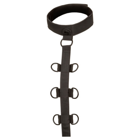Attaches Sm COLLAR BODY RESTRAINT Boundless