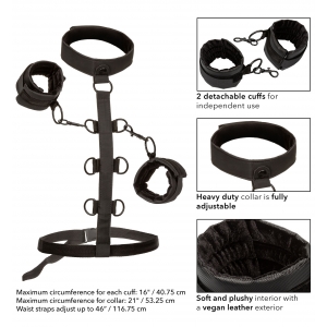Attaches Sm COLLAR BODY RESTRAINT Boundless