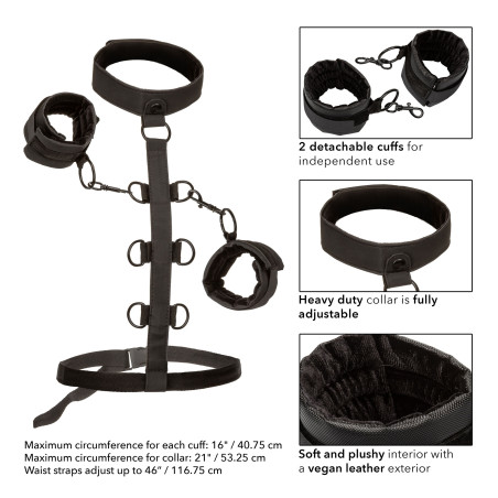 Attaches Sm COLLAR BODY RESTRAINT Boundless