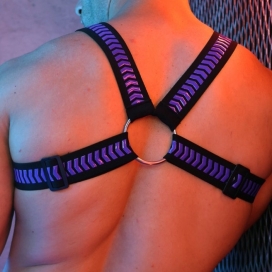 Harnais DAYCRAWLER Breedwell Noir-Violet 2