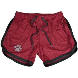 Short PAW Bordeaux-Noir
