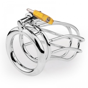 Cage de chasteté en métal LINEALE 9.5 x 3.5cm