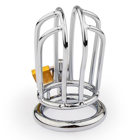 Cage de chasteté en métal LINEALE 9.5 x 3.5cm