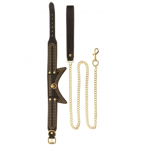 Collier et Laisse STUDDED Noir et Doré
