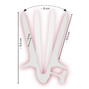 Spéculum anal en métal ASS VIEW 10.5 cm Ouverture 10 cm