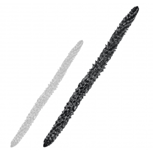 Gode long BIG SILUR 80 cm de Deepleasure | Noir