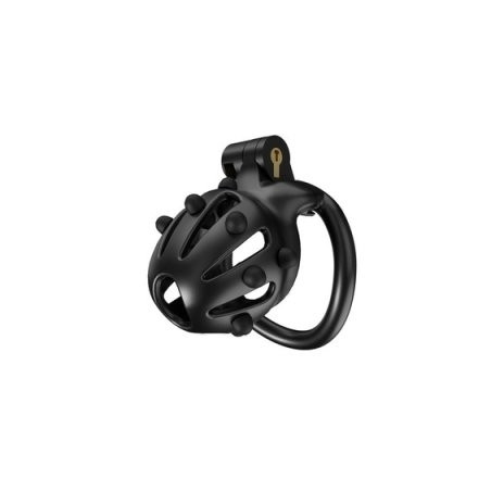 Cage de chasteté POINT UP S Noire de CockLock