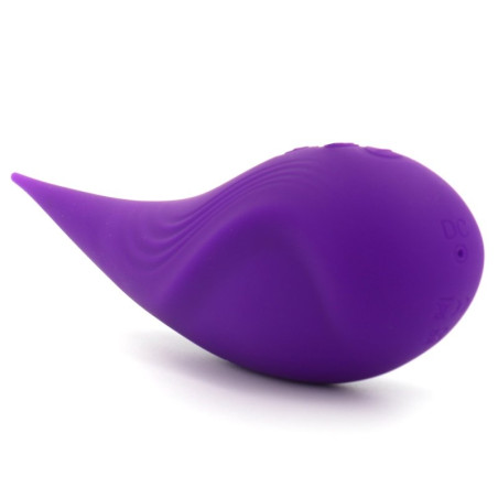 Stimulateur de Clitoris ELLIPTICAL Violet Purple