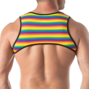 Harnais RAINBOW TOF Paris