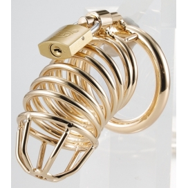 Cage de Chasteté en métal GOLDEN BIRD 9 x 3.5cm 2