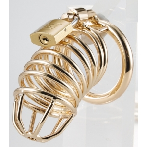 Cage de Chasteté en métal GOLDEN BIRD 9 x 3.5cm