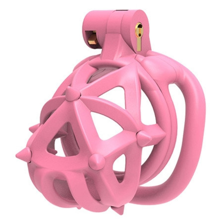 Cage de chasteté DIAPIK S Rose 5.5 x 3.3 cm par CockLock