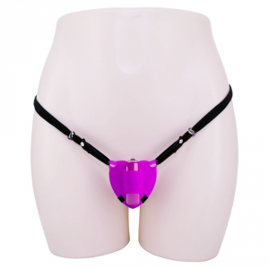 Vibro de Culotte avec Harnais HEARTBEAT Rose