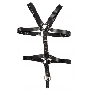 Harnais Complet en Cuir avec Anneau Pénien LEATHERCOCK S/L