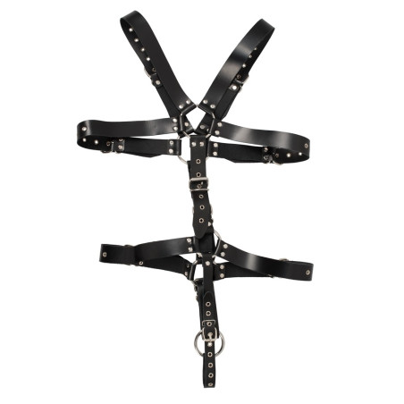 Harnais Complet en Cuir avec Anneau Pénien LEATHERCOCK S/L