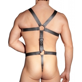 Harnais Complet en Cuir avec Anneau Pénien LEATHERCOCK S/L 2