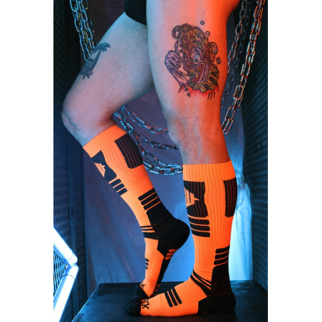 Chaussettes hautes HYPNOTIX Breedwell Noir-Orange