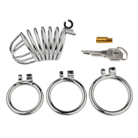 Cage de chasteté en métal REEGICK 8.5 x 3.5 cm de CockLock 2