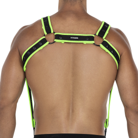 Harnais NEO C4M Noir-Vert 2