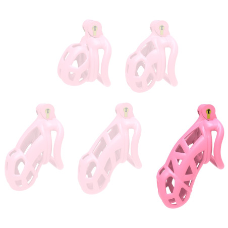 Cage de chasteté Rose ASPIC XXL de 11.5 x 3.3 cm