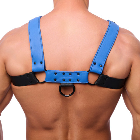 Harnais en cuir SNAP Noir-Bleu