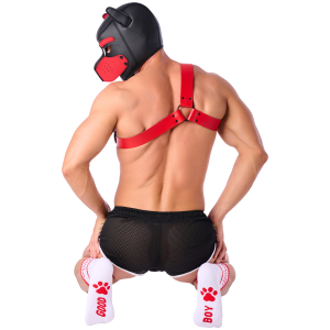 Chaussettes GOOD BOY Blanc-Rouge