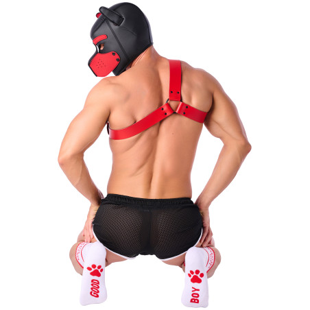 Chaussettes GOOD BOY Blanc-Rouge