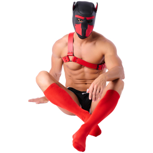 Chaussettes Hautes COLORS SneakXX Rouges