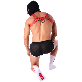 Chaussettes STRIPE FUCKED SneakXX 2