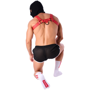 Chaussettes STRIPE FUCKED SneakXX