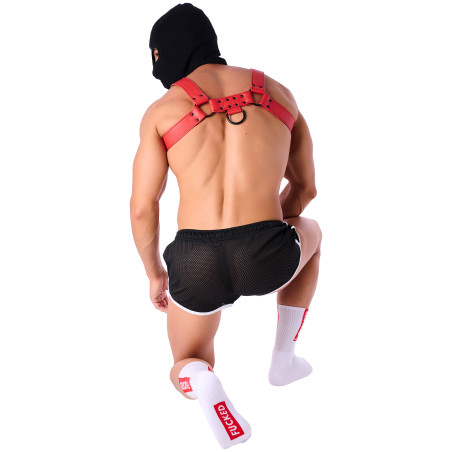 Chaussettes STRIPE FUCKED SneakXX