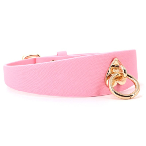 Collier-Laisse BARBING