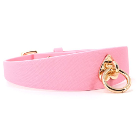 Collier-Laisse BARBING